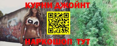 гидра Будённовск