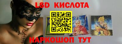 гидра Будённовск