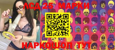 гидра Будённовск