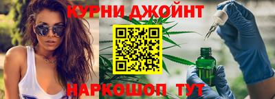 гидра Будённовск