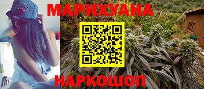 гидра Будённовск