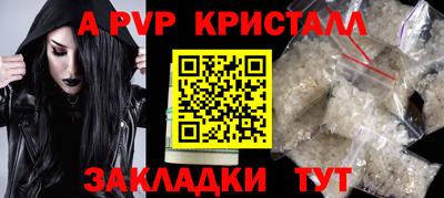 PSILOCYBIN Владикавказ