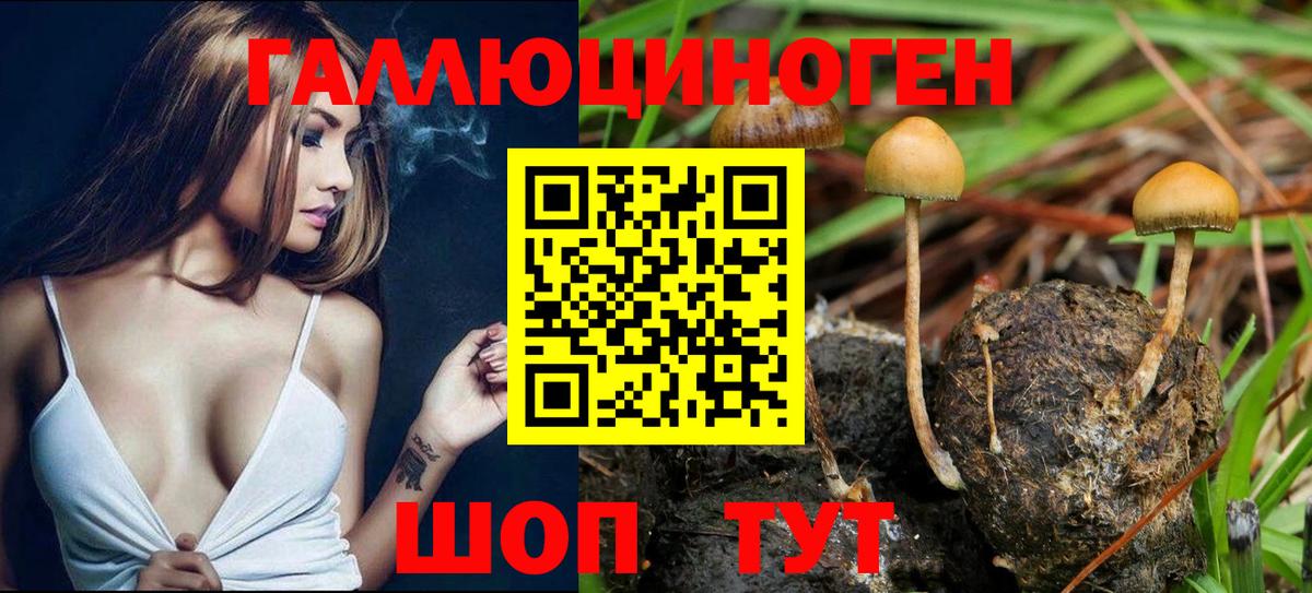 Рубцовск  Псилоцибиновые грибы MAGIC MUSHROOMS  купить наркоту  Вход с VPN 